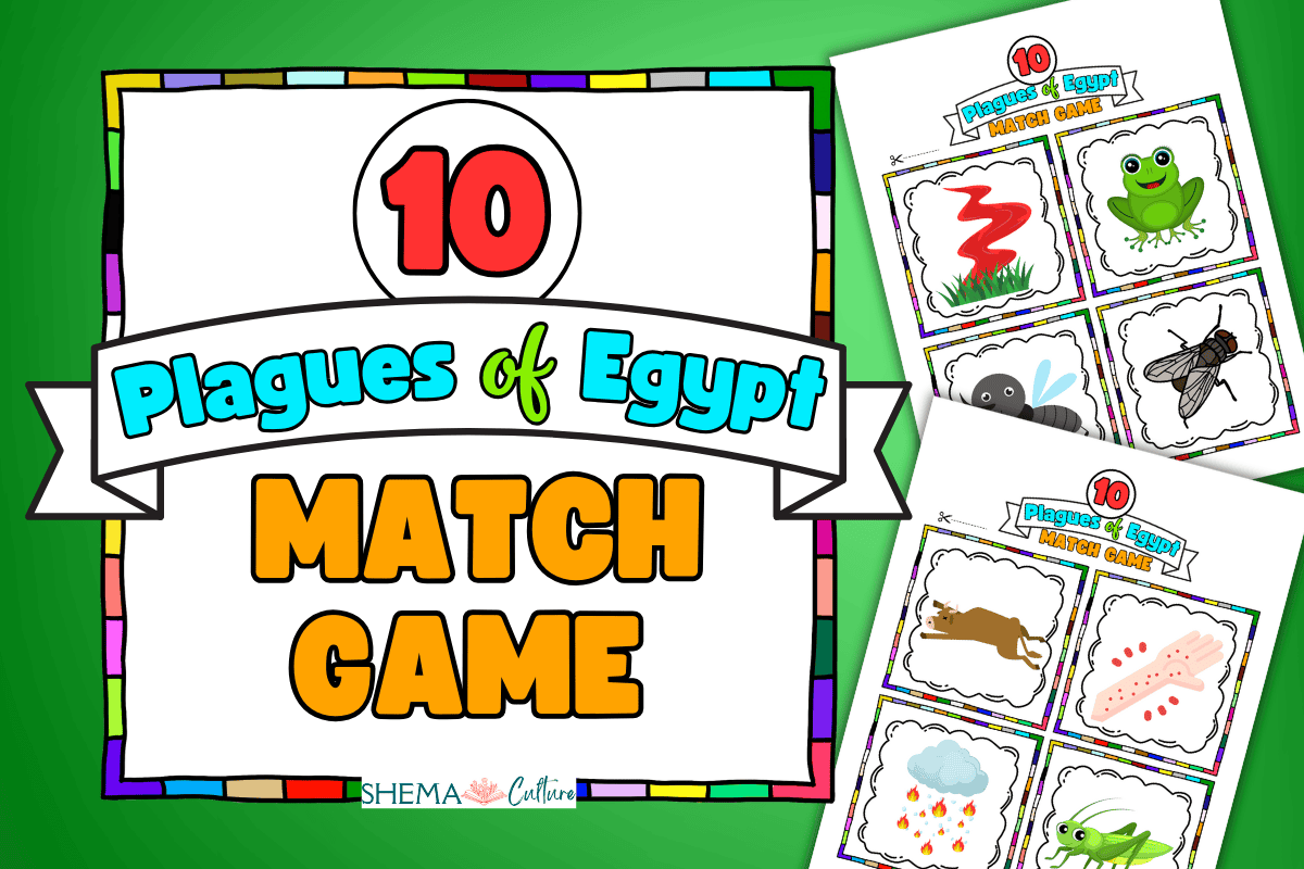 Plagues Printable Bible Matching Game: FREE Activity