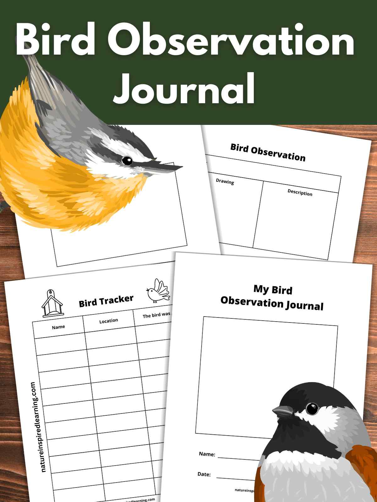 Printable Bird Watching Journal - Nature Inspired Learning