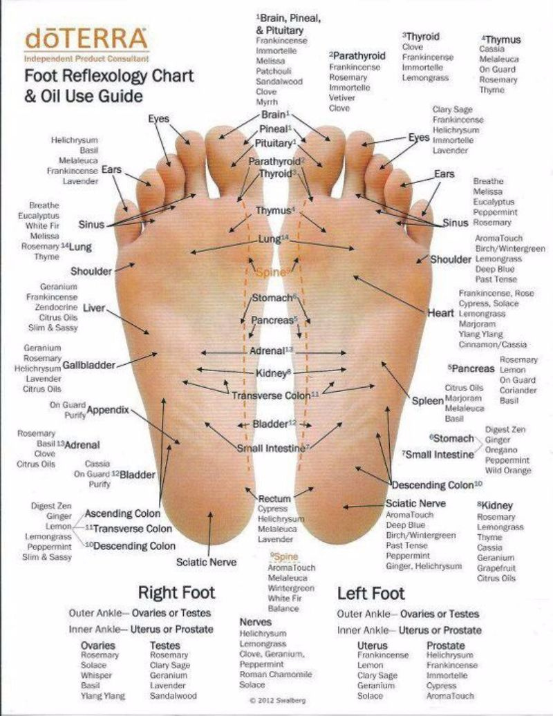 Printable Foot Reflexology Charts & Maps ᐅ TemplateLab