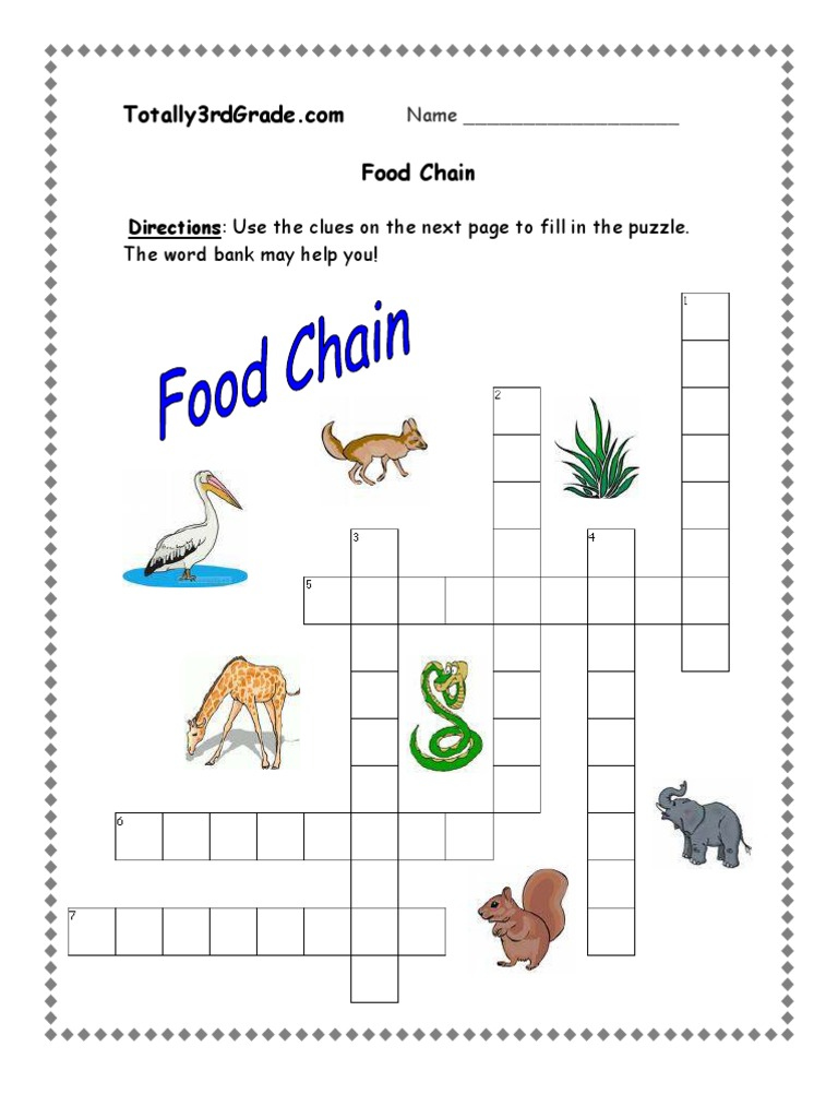 rd Grade - Food Chain Worksheet  PDF