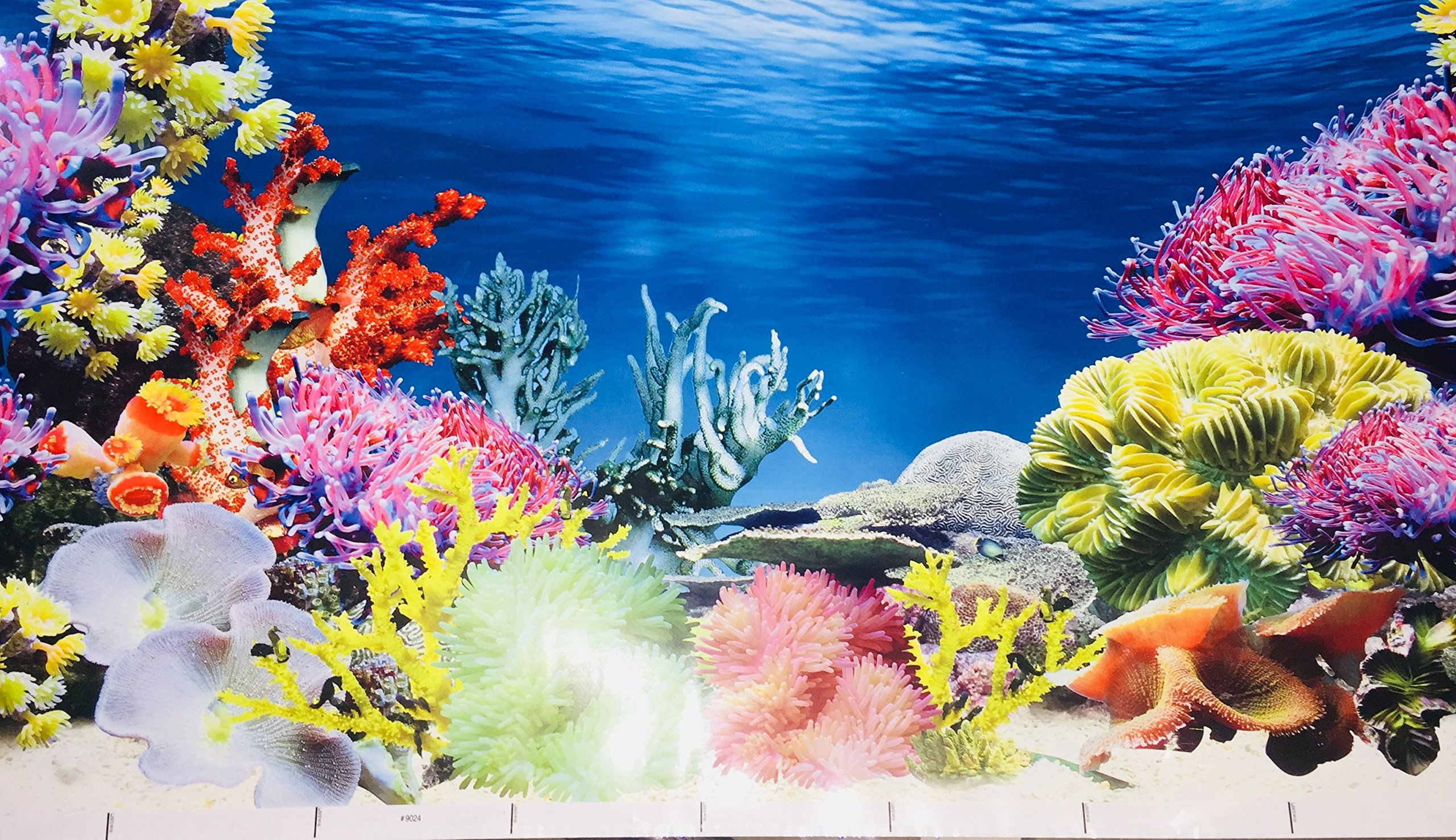 Saltwater Aquarium Diy Aquarium Backgrounds Personalized Fish Tank