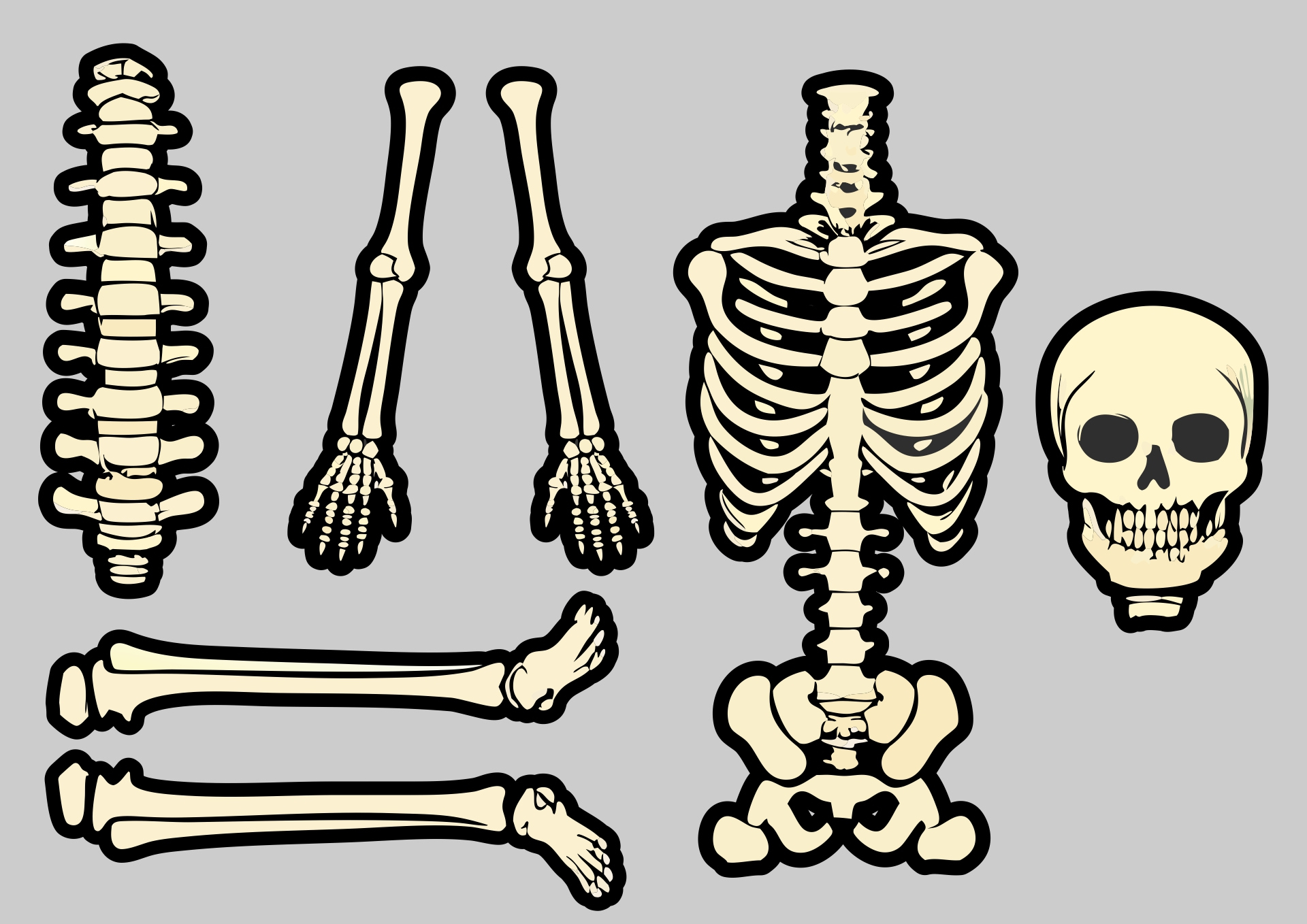 Skeleton Cut Out -  Free PDF Printables  Printablee