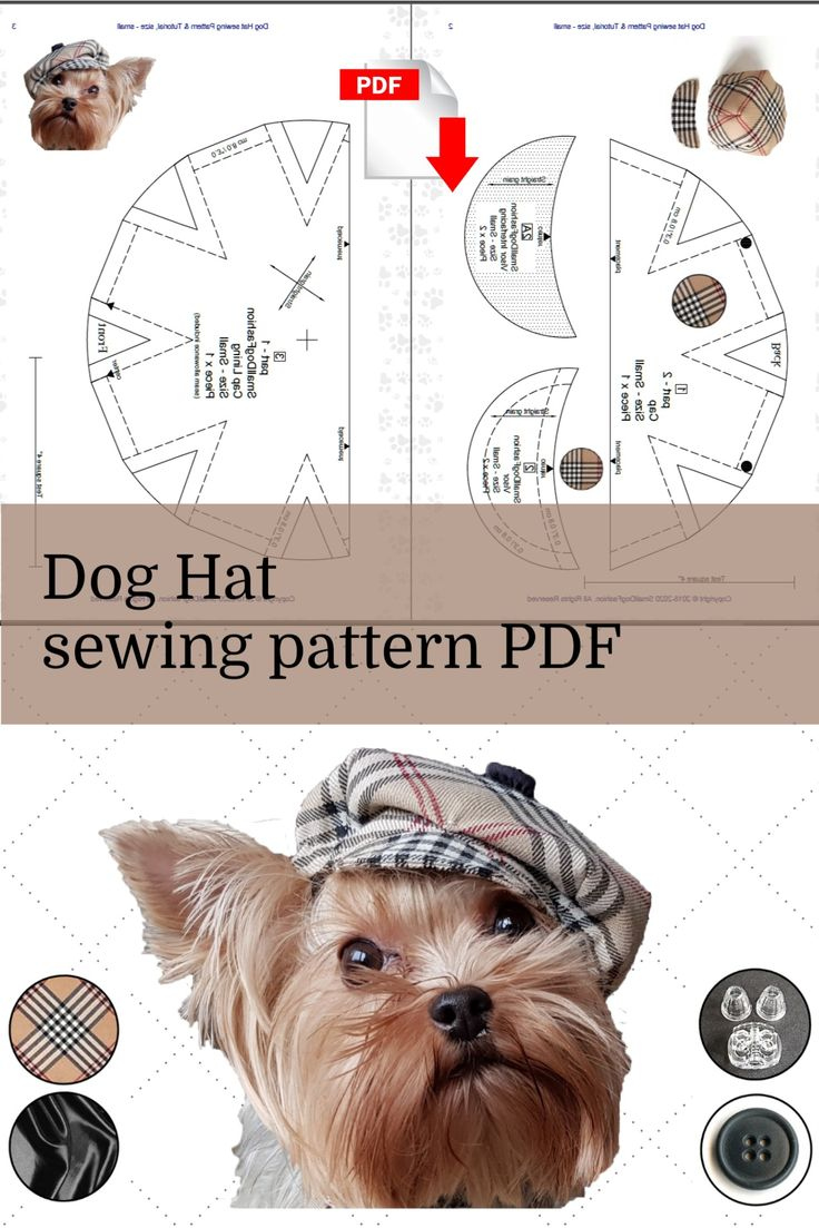 Small dog hat sewing pattern PDF