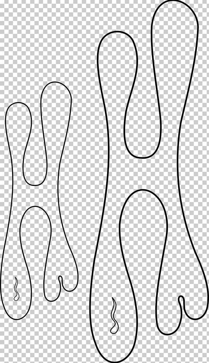 Stencil Airbrush Flame PNG