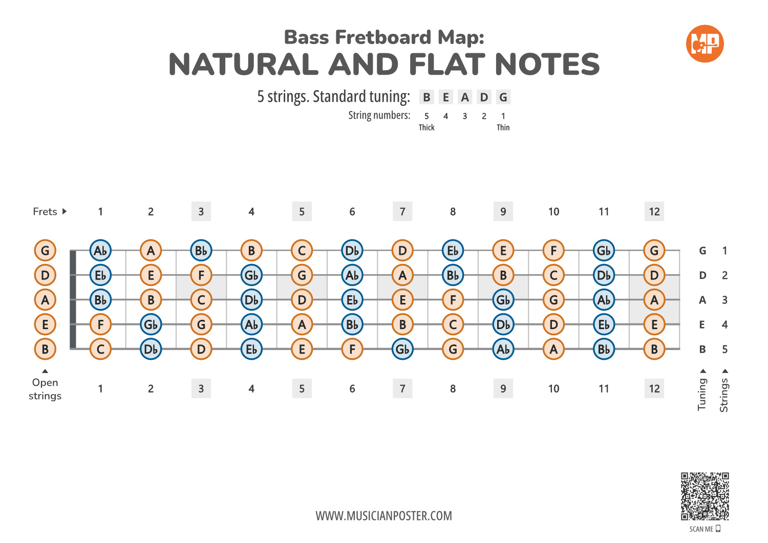 -String Bass Guitar Printable Fretboard Map With All Notes