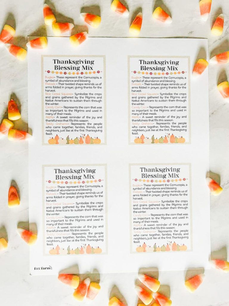 Thanksgiving Blessing Mix + Free Printable Tag - Fox Farm Home Thanksgiving Blessing Mix + Free Printable Tag - Fox Farm Home