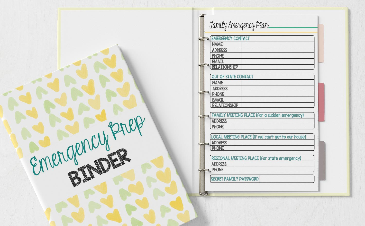 The Emergency Prep Binder Every Family Should Have  Sunny Day Family