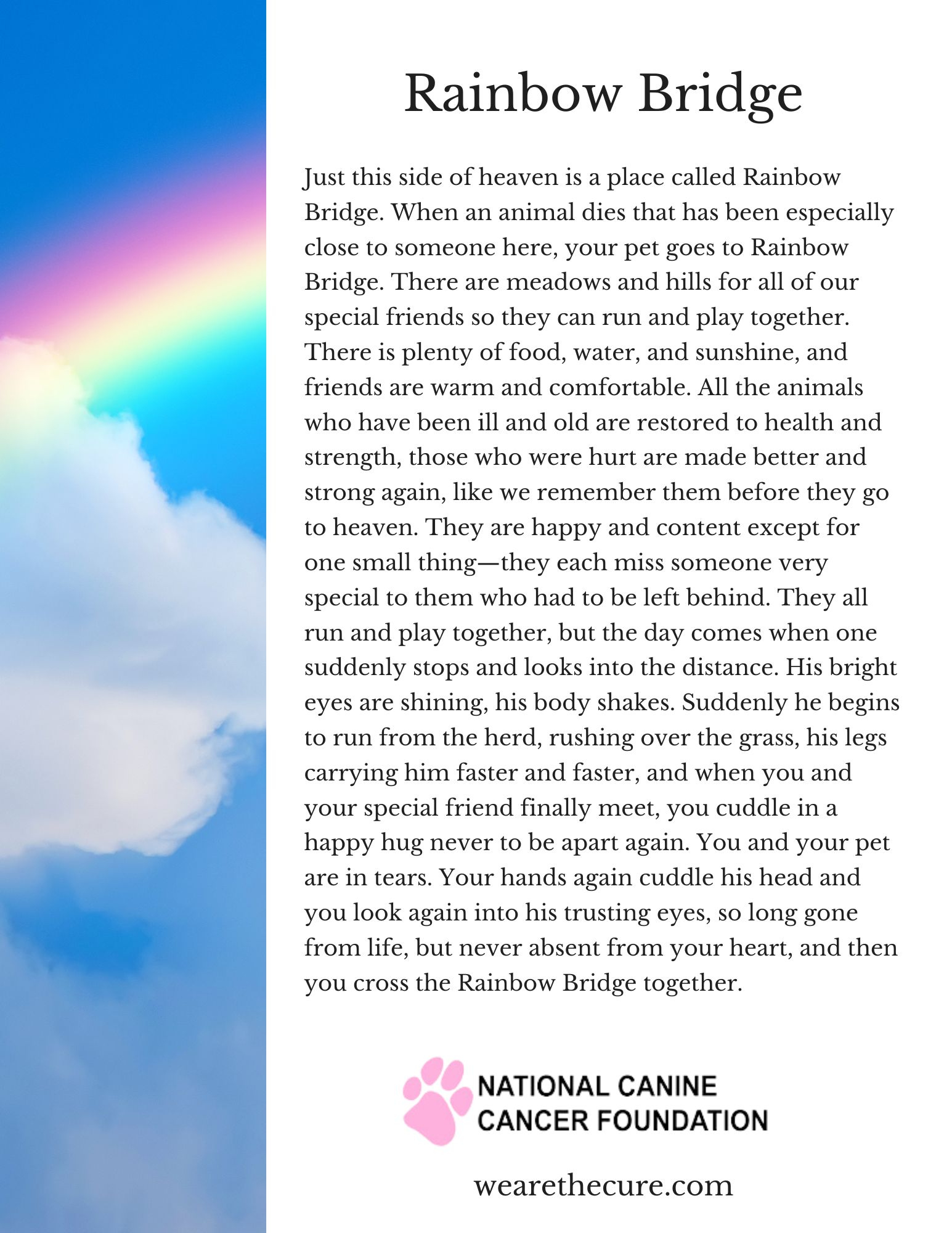 What The Rainbow Bridge Poem Gets Perfectly Right About Pet Loss What The Rainbow Bridge Poem Gets Perfectly Right About Pet Loss