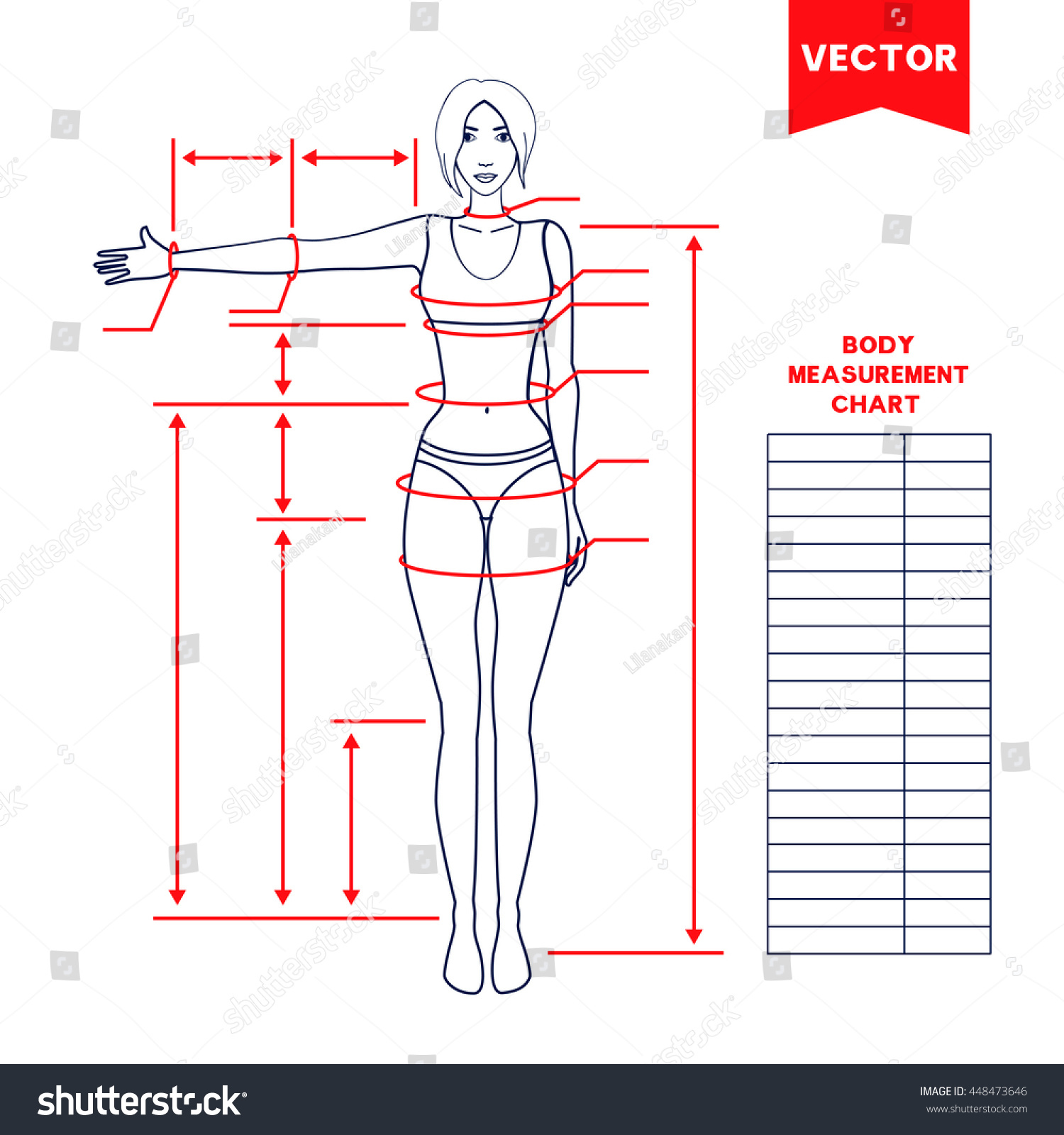Woman Body Measurement Chart Scheme Measurement Stock Vector